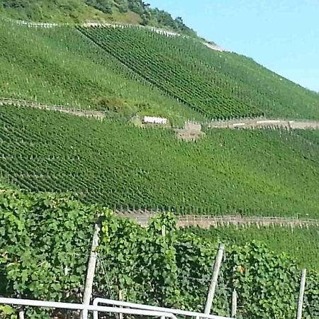 Weinhaus Hotel Zum Josefshof Graach エクステリア 写真