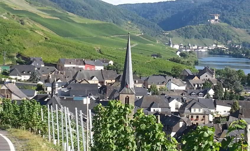 Weinhaus Hotel Zum Josefshof Graach エクステリア 写真