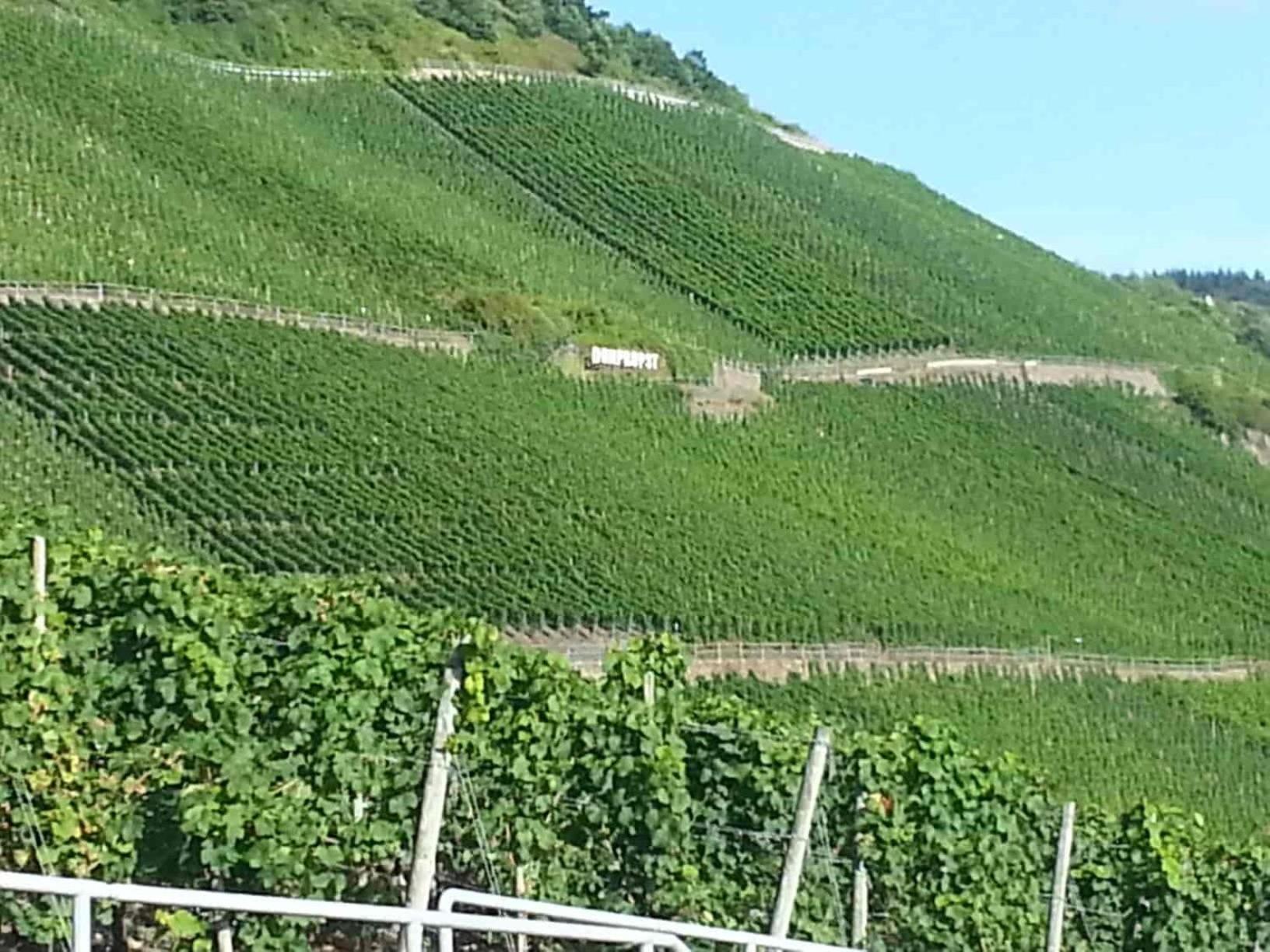 Weinhaus Hotel Zum Josefshof Graach エクステリア 写真